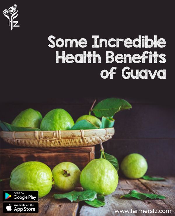 Some Incredible Health Benefits of Guava