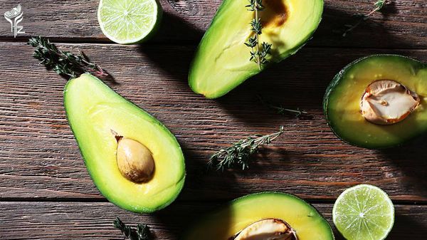 Health Benefits of Avocado Seed You Didn’t Know