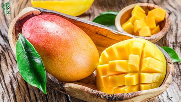 Here’s Why you Must be Eating Mangoes this Summer